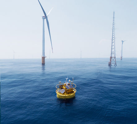 গুণ  Metal Ocean Buoy Wave CTD Profile Current Oceanographic Buoy কারখানা